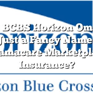 Is the BCBS Horizon Omnia in NJ Just a Fancy Name For Obamacare Marketplace Insurance?