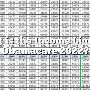 What is the Income Limit for Obamacare 2022?